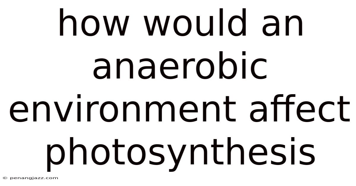 How Would An Anaerobic Environment Affect Photosynthesis