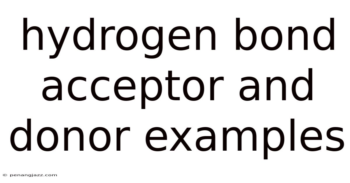 Hydrogen Bond Acceptor And Donor Examples