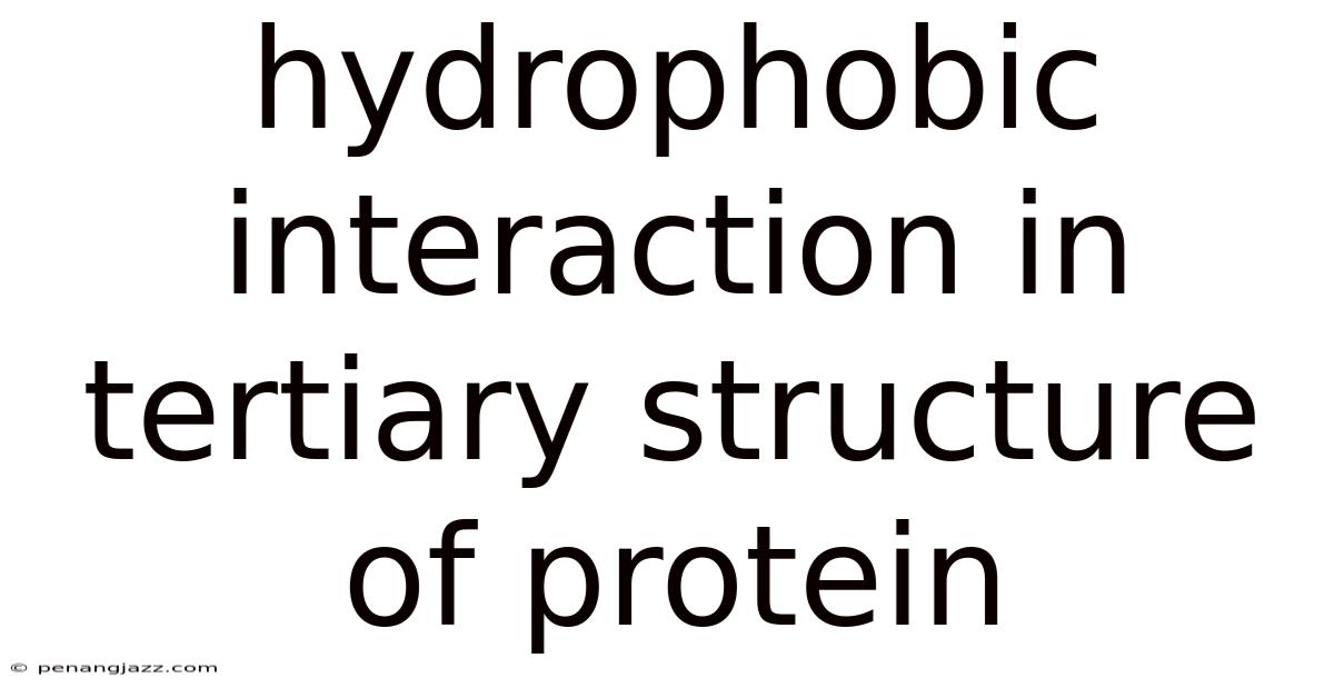 Hydrophobic Interaction In Tertiary Structure Of Protein