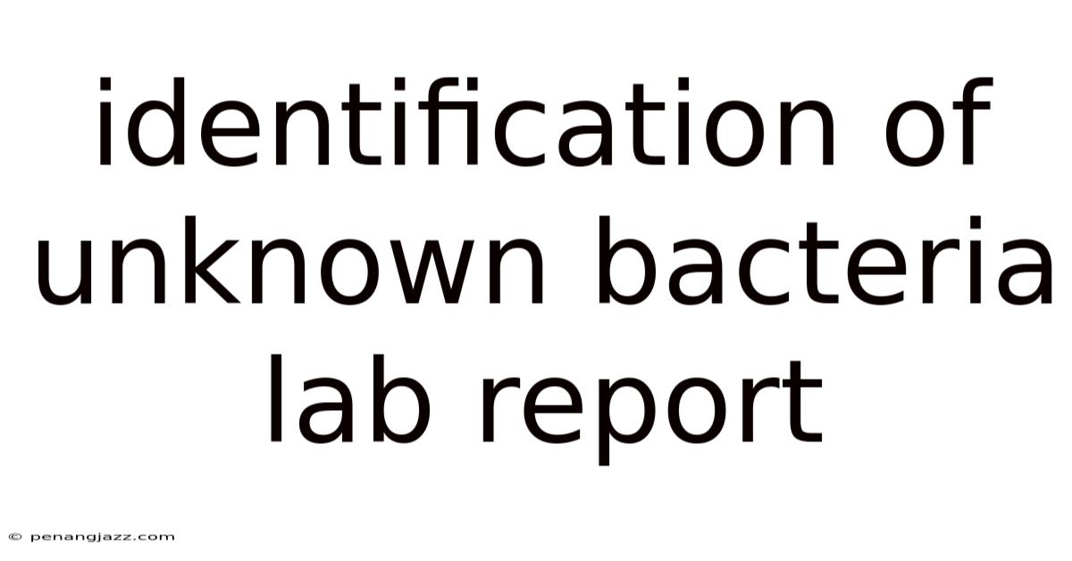 Identification Of Unknown Bacteria Lab Report