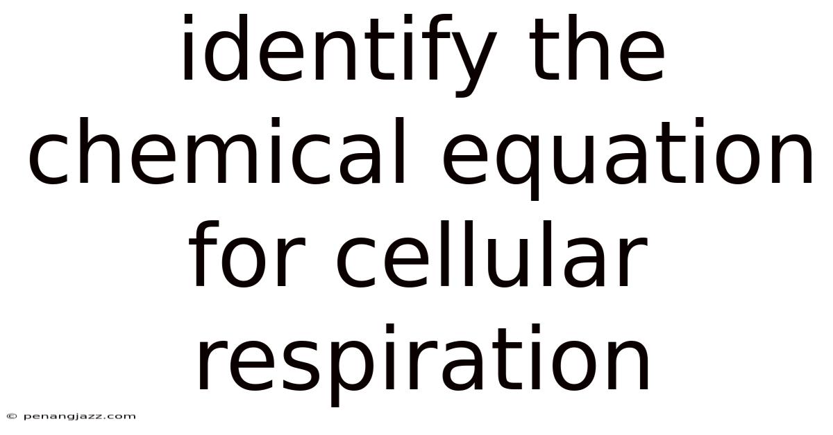 Identify The Chemical Equation For Cellular Respiration