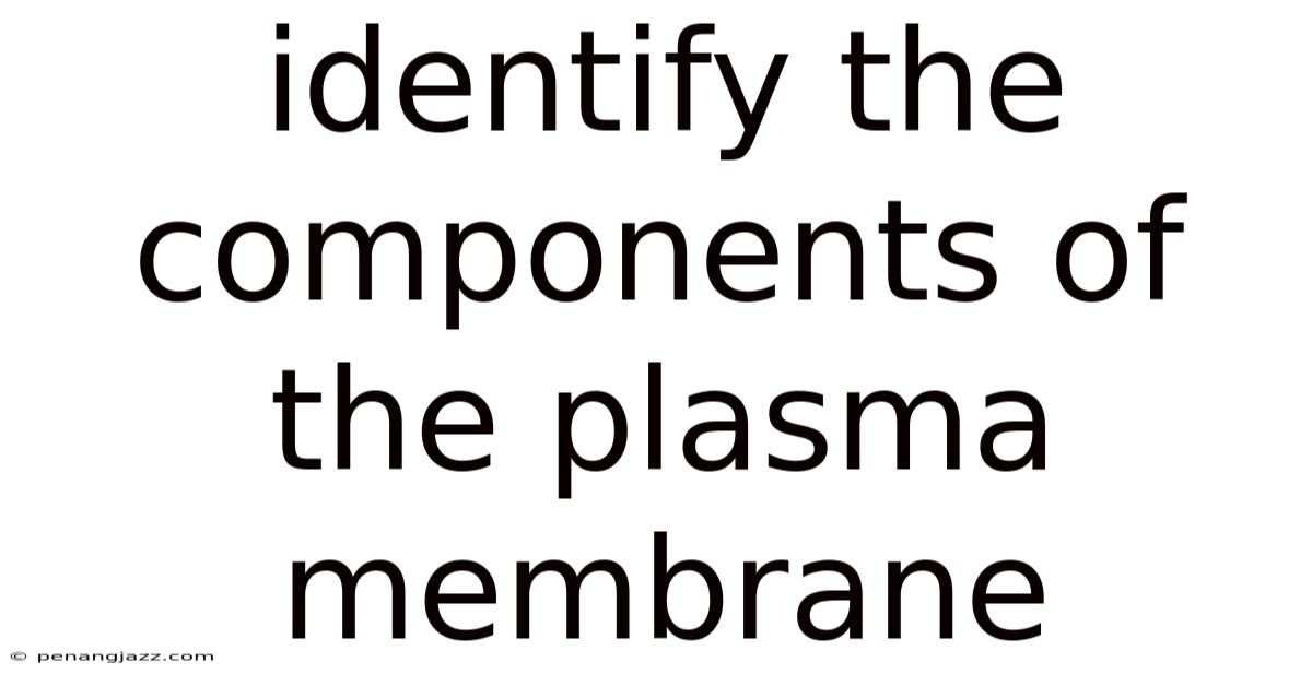 Identify The Components Of The Plasma Membrane