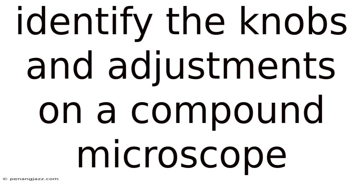 Identify The Knobs And Adjustments On A Compound Microscope