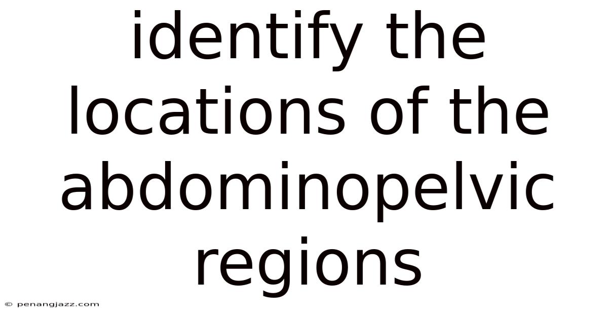 Identify The Locations Of The Abdominopelvic Regions