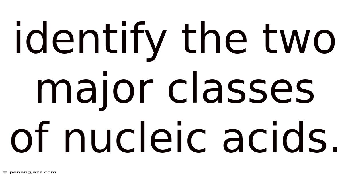 Identify The Two Major Classes Of Nucleic Acids.