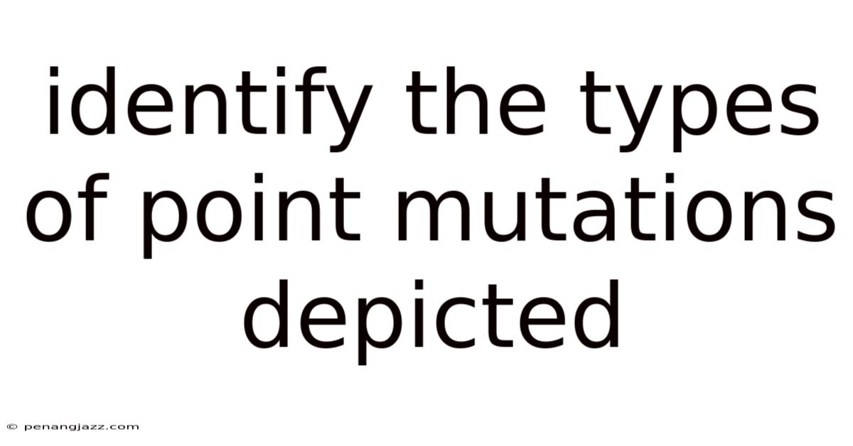 Identify The Types Of Point Mutations Depicted