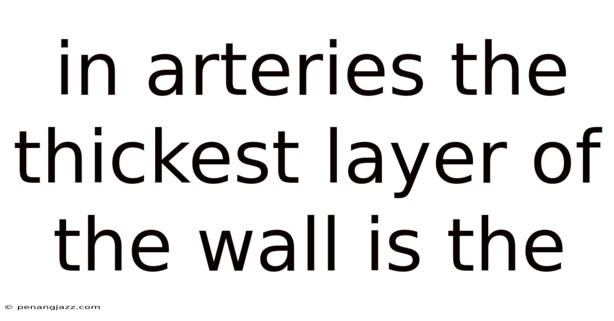 In Arteries The Thickest Layer Of The Wall Is The