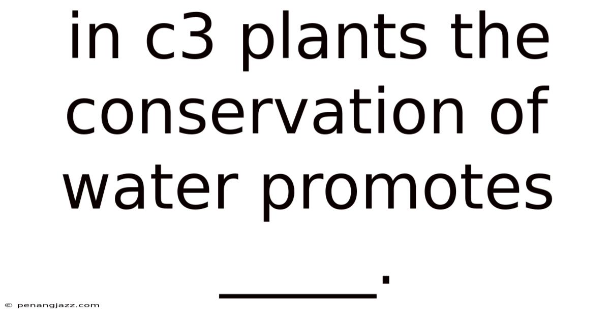 In C3 Plants The Conservation Of Water Promotes _____.