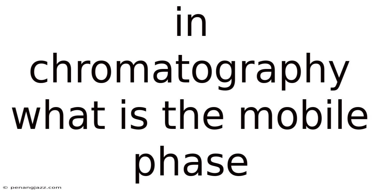 In Chromatography What Is The Mobile Phase