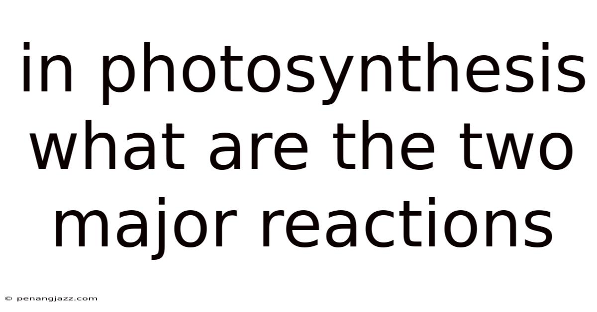 In Photosynthesis What Are The Two Major Reactions