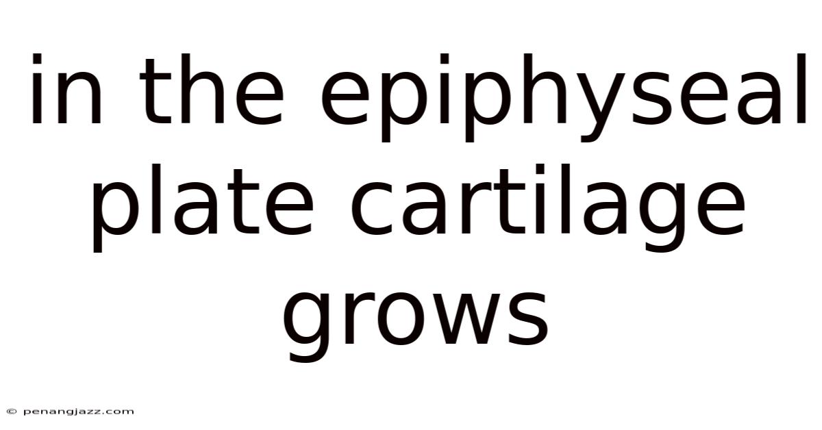 In The Epiphyseal Plate Cartilage Grows
