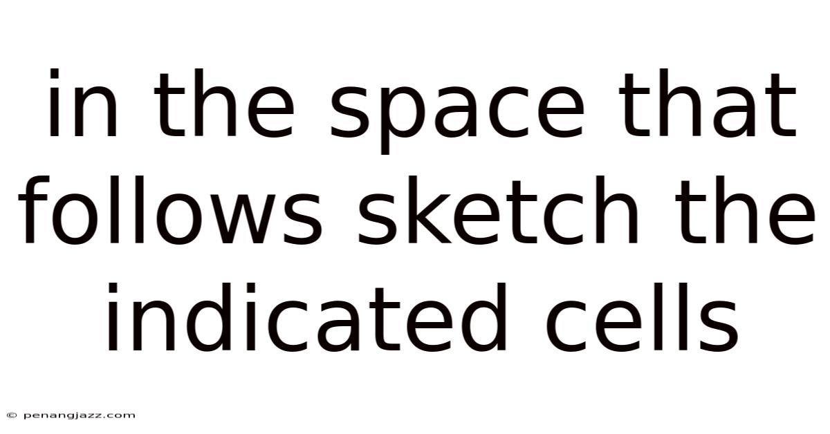 In The Space That Follows Sketch The Indicated Cells