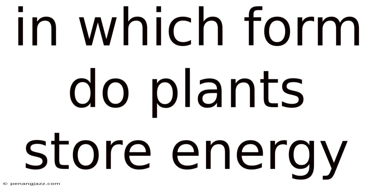 In Which Form Do Plants Store Energy