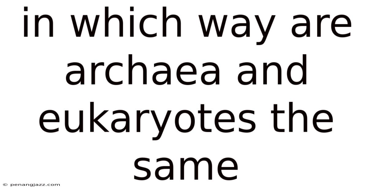 In Which Way Are Archaea And Eukaryotes The Same