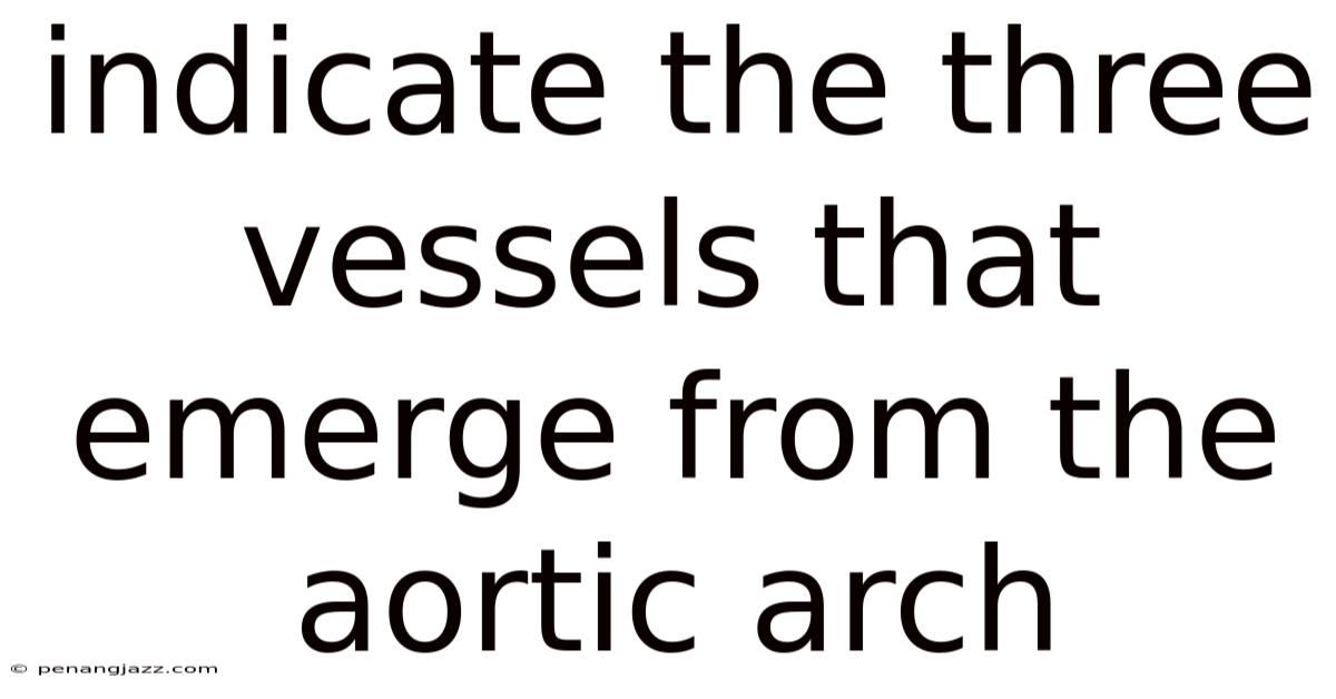 Indicate The Three Vessels That Emerge From The Aortic Arch