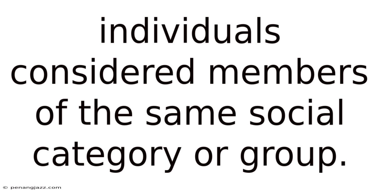 Individuals Considered Members Of The Same Social Category Or Group.