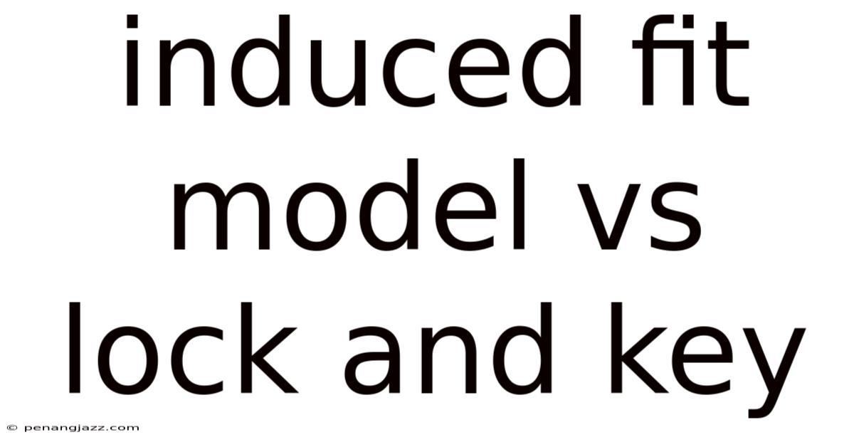 Induced Fit Model Vs Lock And Key