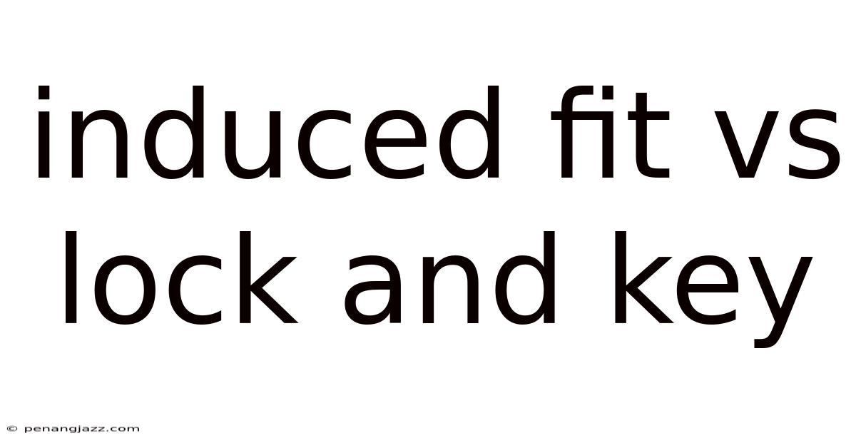 Induced Fit Vs Lock And Key