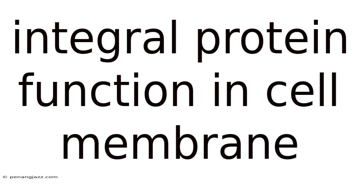 Integral Protein Function In Cell Membrane