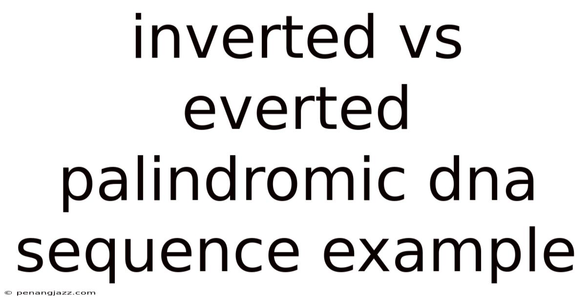 Inverted Vs Everted Palindromic Dna Sequence Example