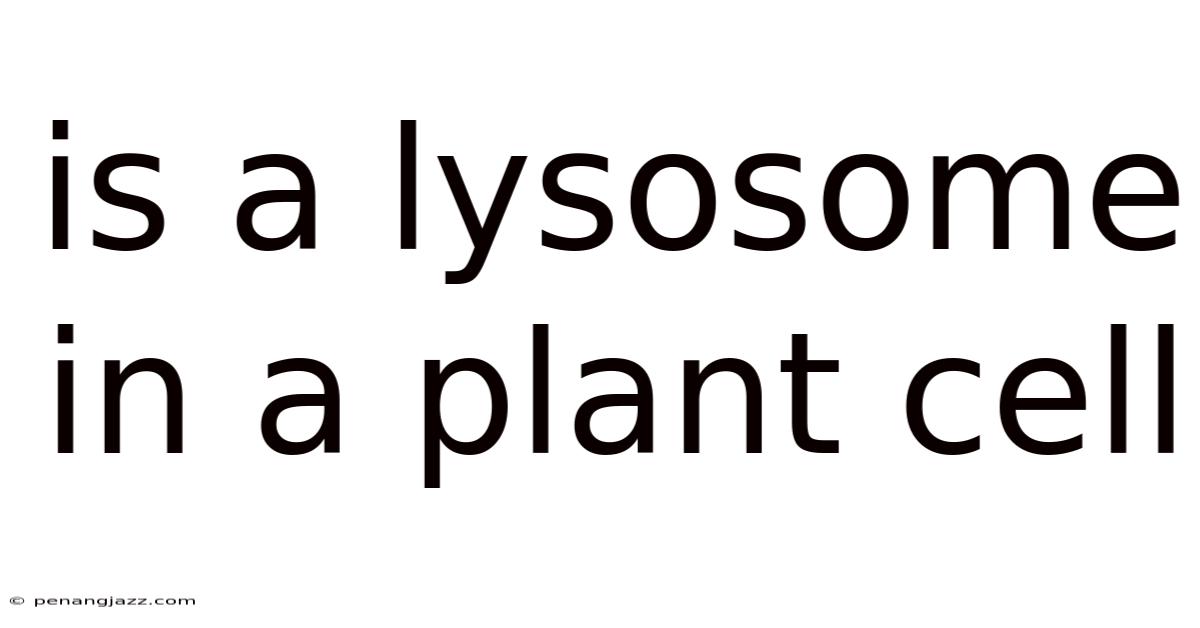 Is A Lysosome In A Plant Cell