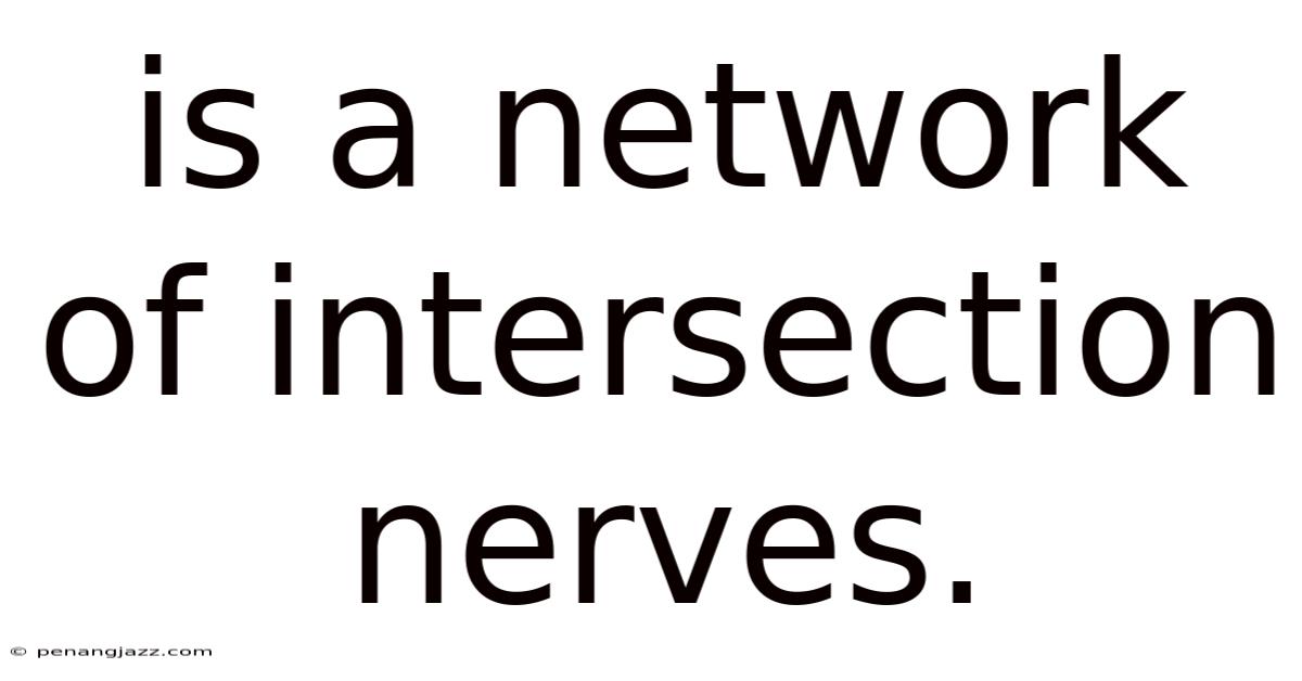Is A Network Of Intersection Nerves.