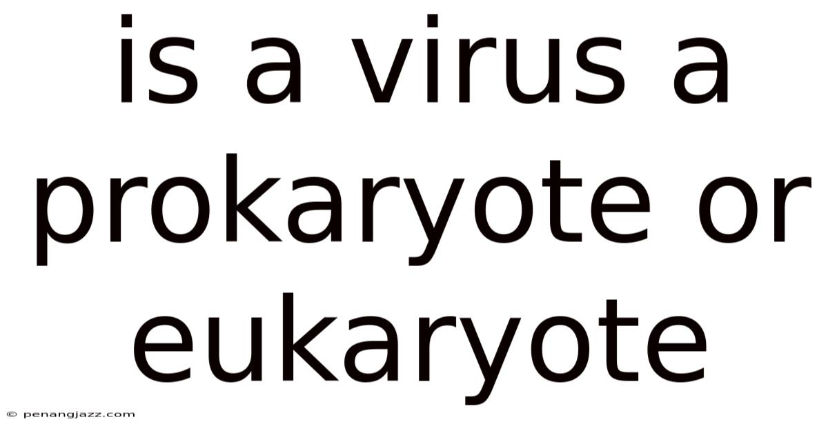 Is A Virus A Prokaryote Or Eukaryote