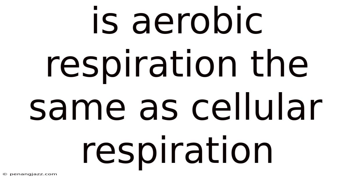 Is Aerobic Respiration The Same As Cellular Respiration