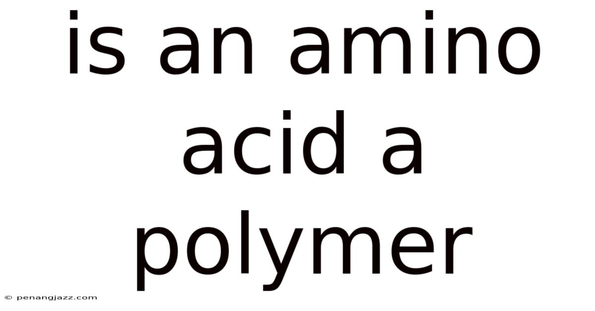 Is An Amino Acid A Polymer