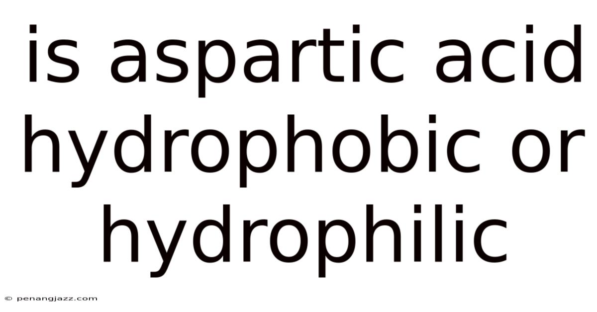 Is Aspartic Acid Hydrophobic Or Hydrophilic