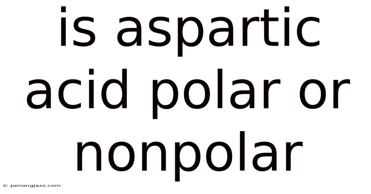 Is Aspartic Acid Polar Or Nonpolar