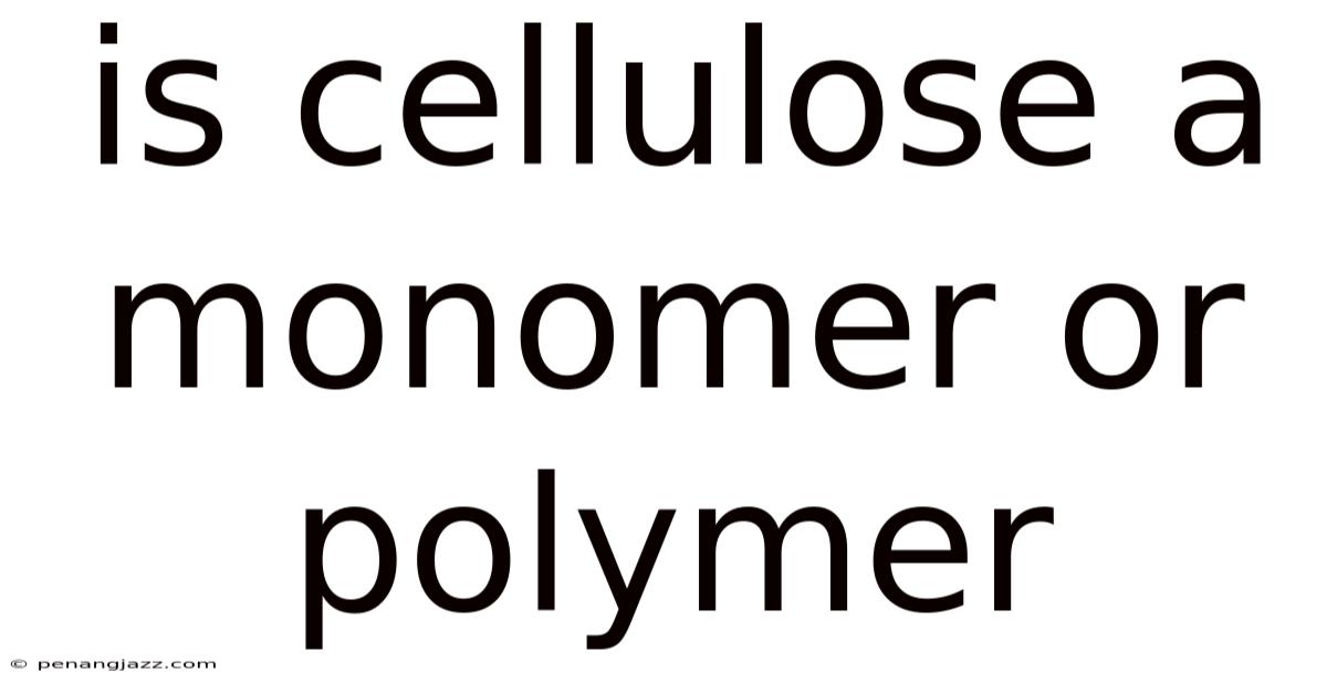 Is Cellulose A Monomer Or Polymer