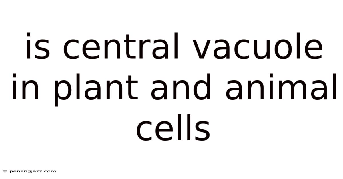 Is Central Vacuole In Plant And Animal Cells