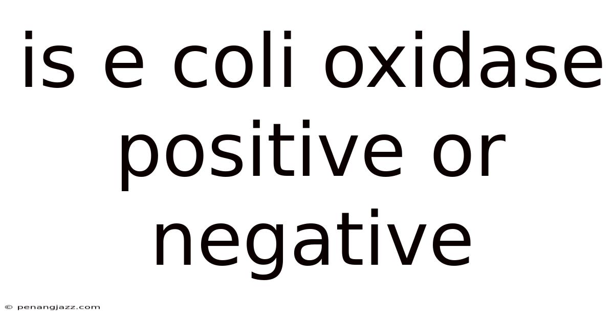 Is E Coli Oxidase Positive Or Negative