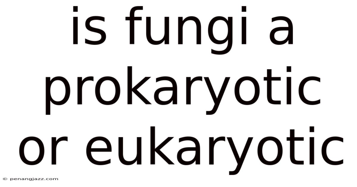 Is Fungi A Prokaryotic Or Eukaryotic