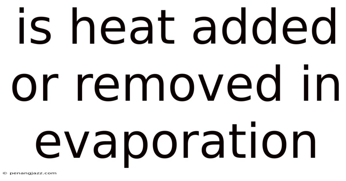 Is Heat Added Or Removed In Evaporation