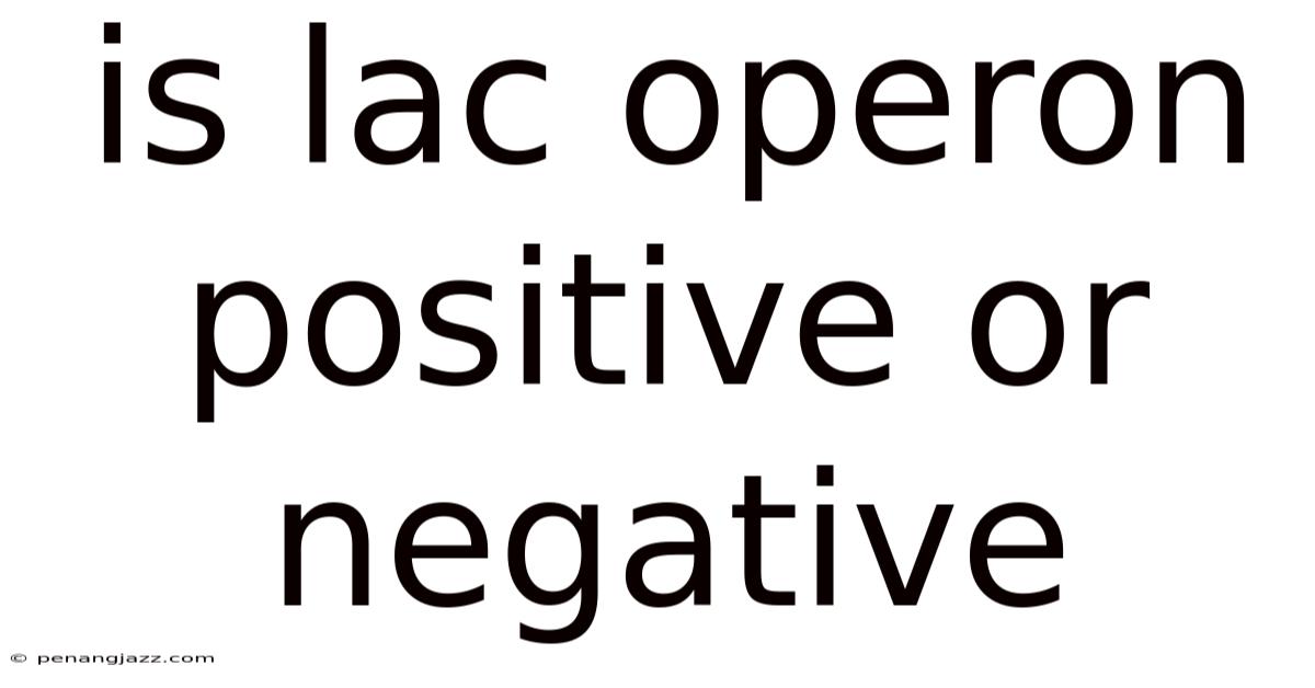 Is Lac Operon Positive Or Negative