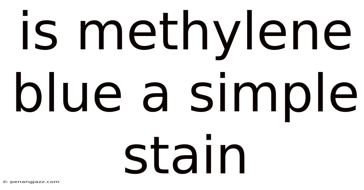 Is Methylene Blue A Simple Stain