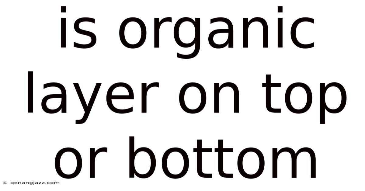 Is Organic Layer On Top Or Bottom