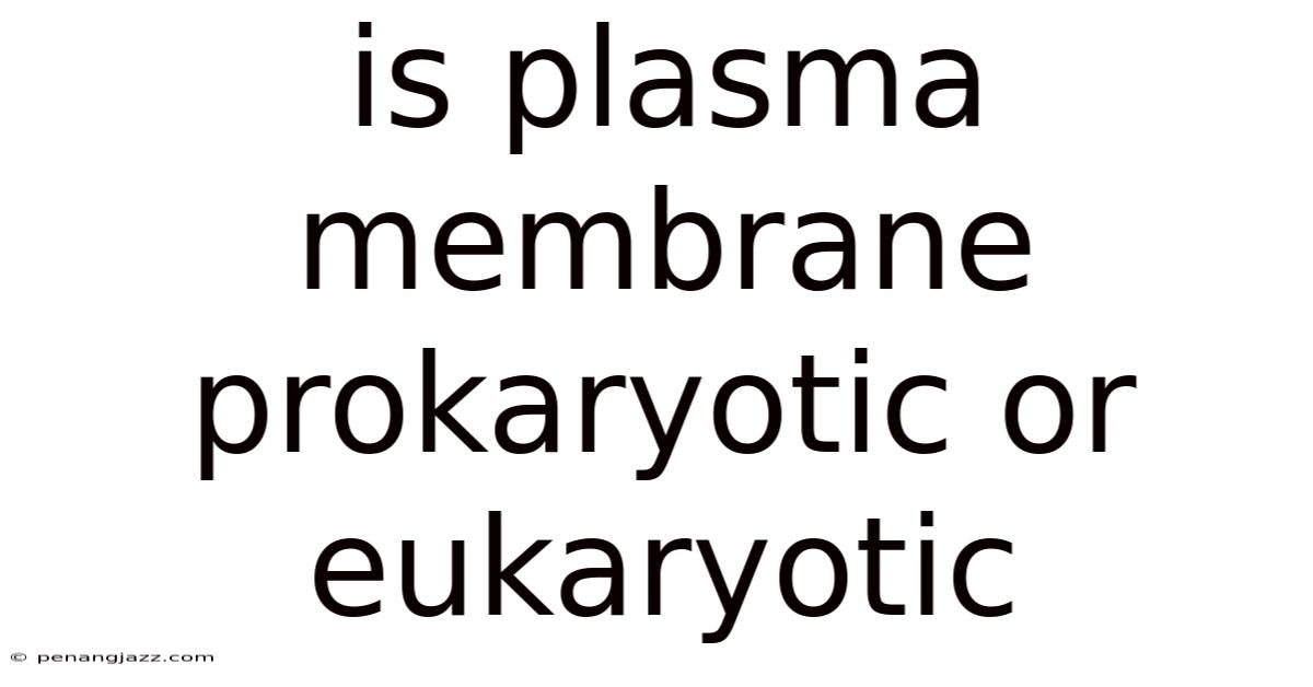 Is Plasma Membrane Prokaryotic Or Eukaryotic