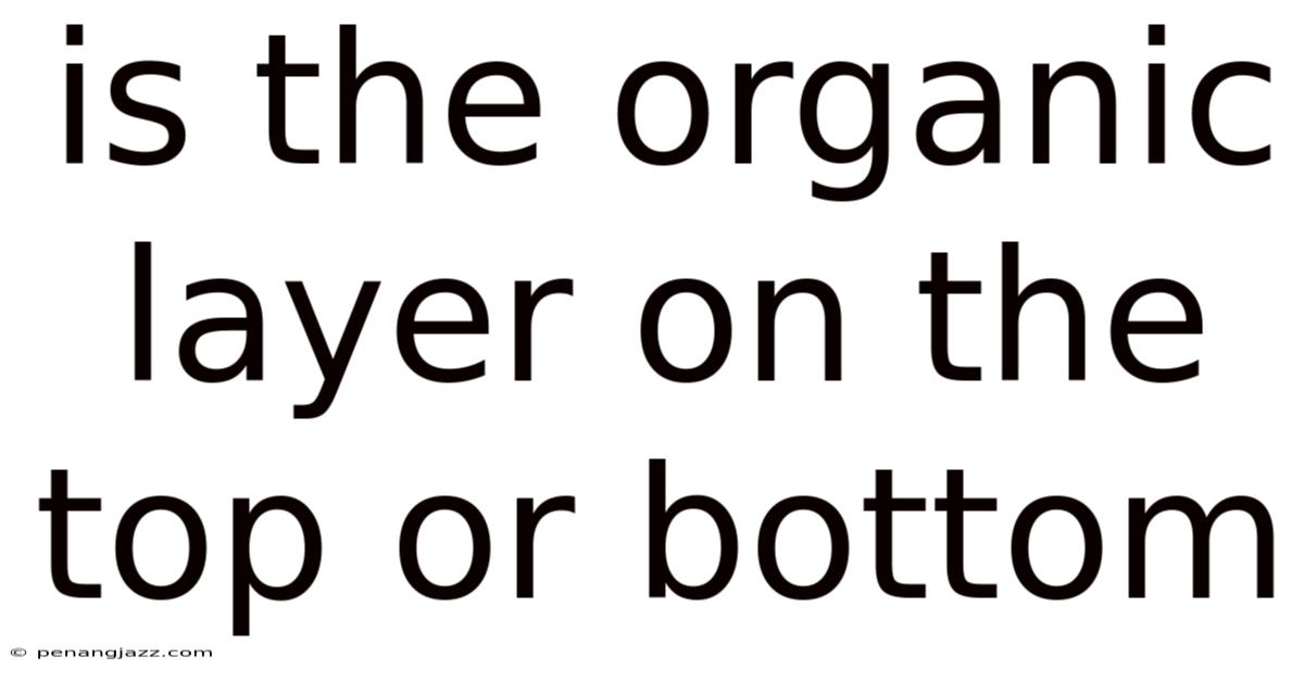 Is The Organic Layer On The Top Or Bottom