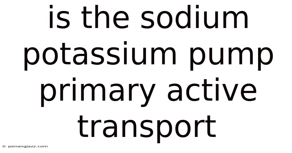 Is The Sodium Potassium Pump Primary Active Transport