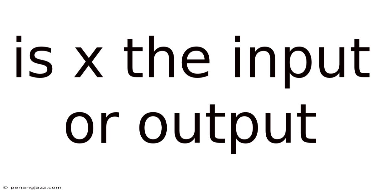 Is X The Input Or Output