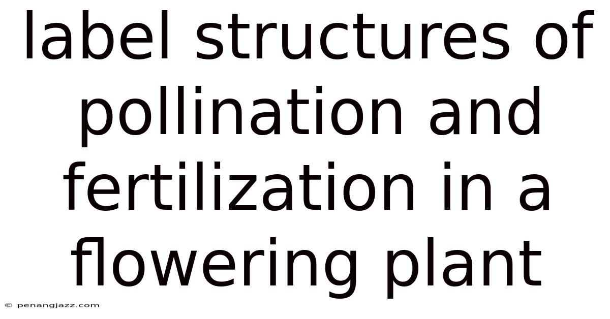 Label Structures Of Pollination And Fertilization In A Flowering Plant