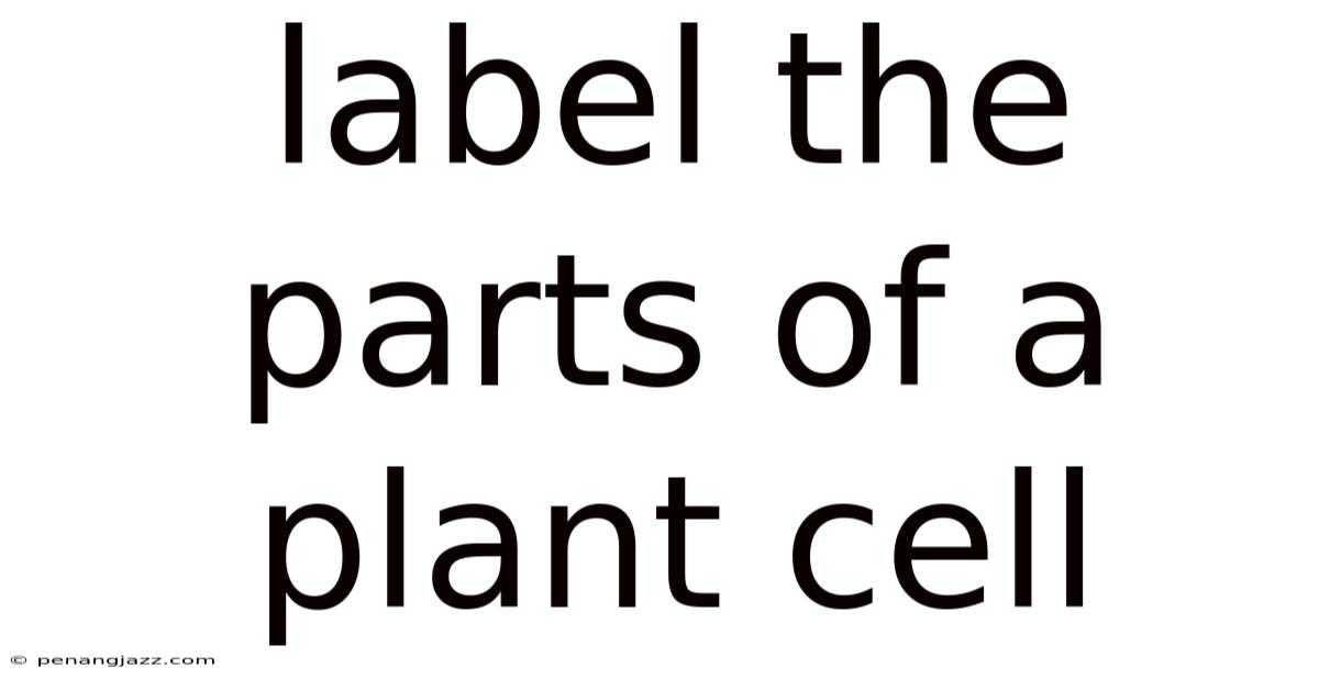 Label The Parts Of A Plant Cell