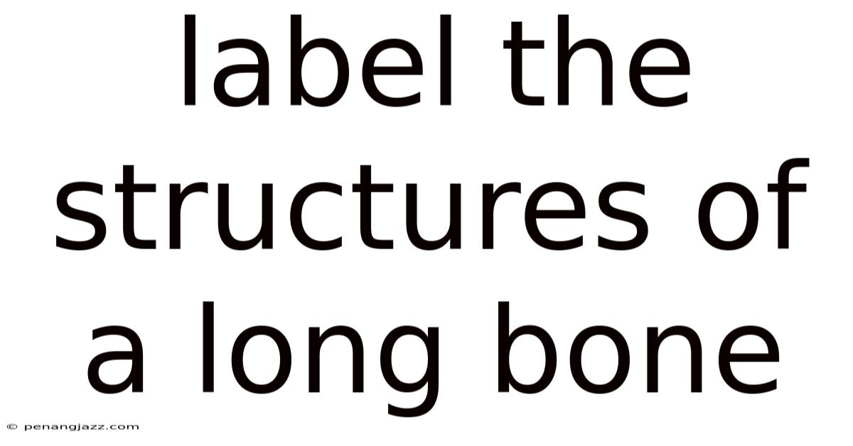 Label The Structures Of A Long Bone