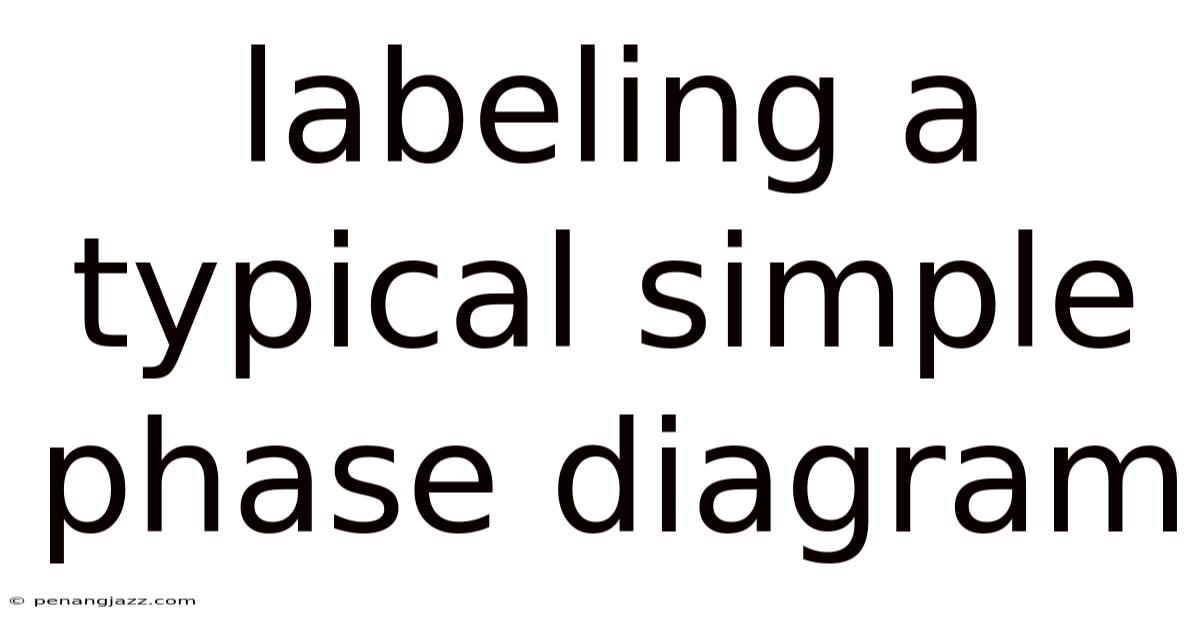 Labeling A Typical Simple Phase Diagram