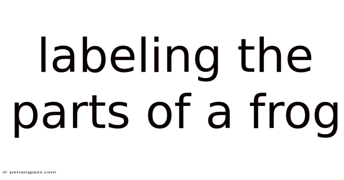 Labeling The Parts Of A Frog