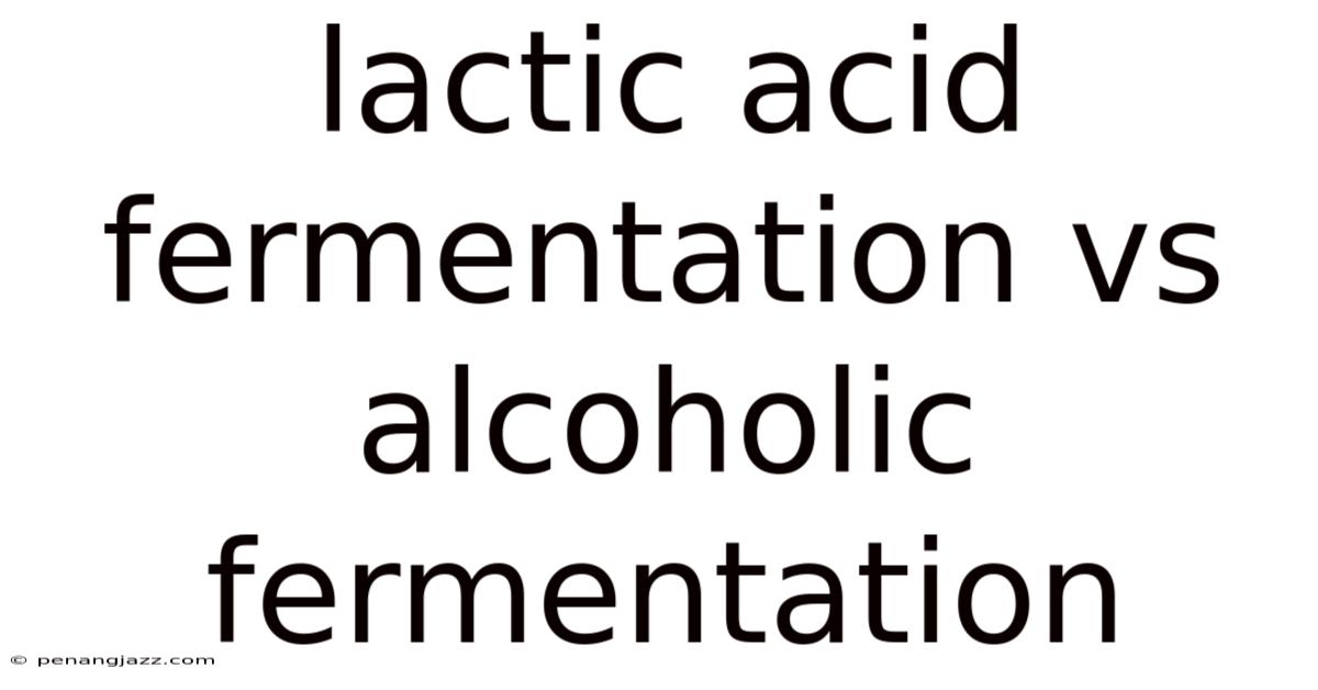 Lactic Acid Fermentation Vs Alcoholic Fermentation