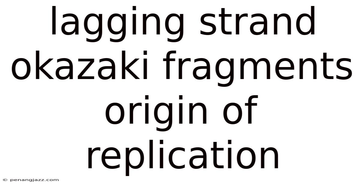 Lagging Strand Okazaki Fragments Origin Of Replication